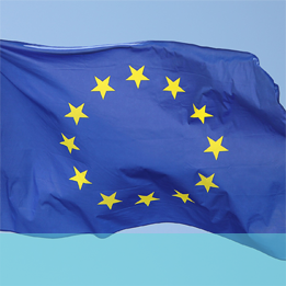 EU一般データ保護規則(GDPR)