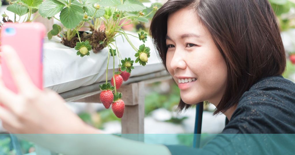 photo of a lady taking a selfie in front of a strawberry plant