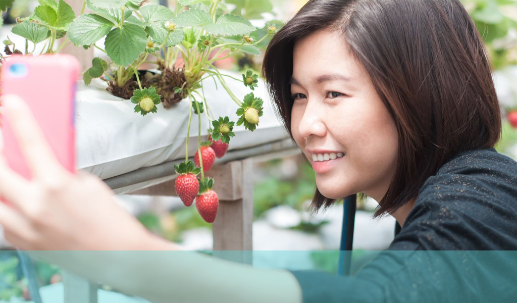 Foto einer Dame, die ein Selfie vor einer Erdbeerpflanze macht